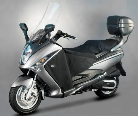 SYM Joymax EVO / GTS EVO Windshield - OEM Design from Italy