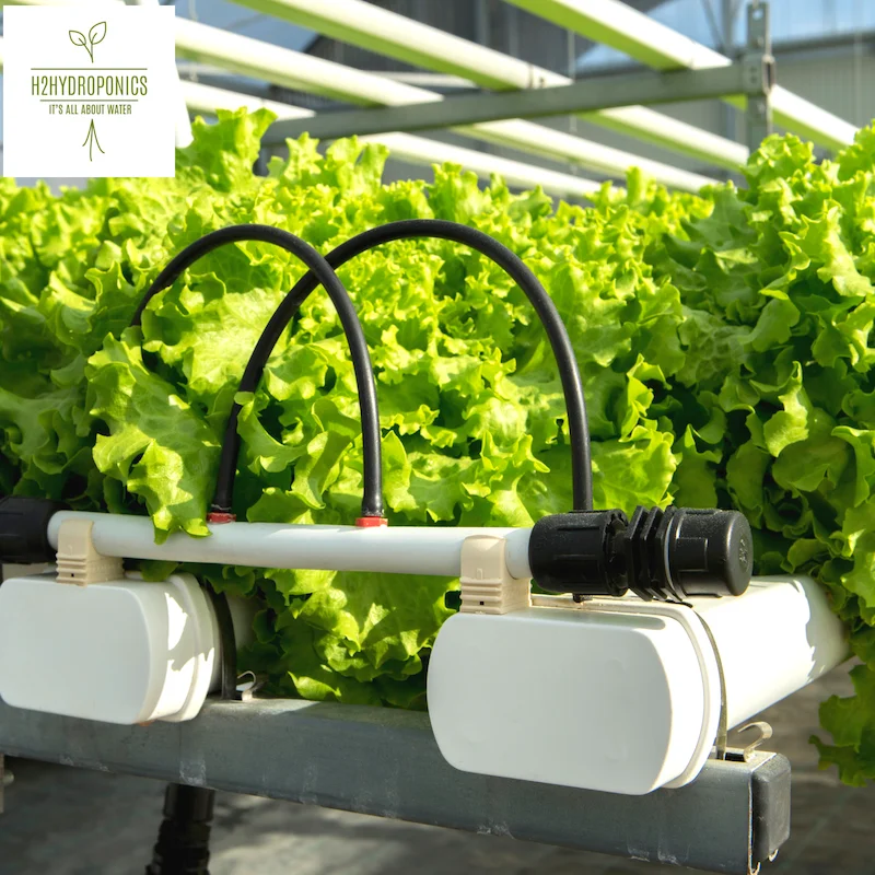 aeroponic system vertical