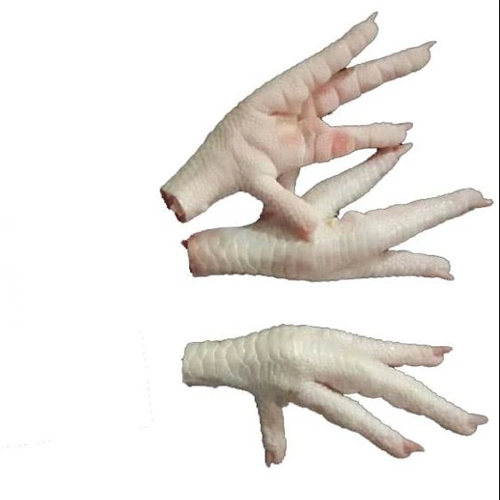 chicken feet slippers for adults