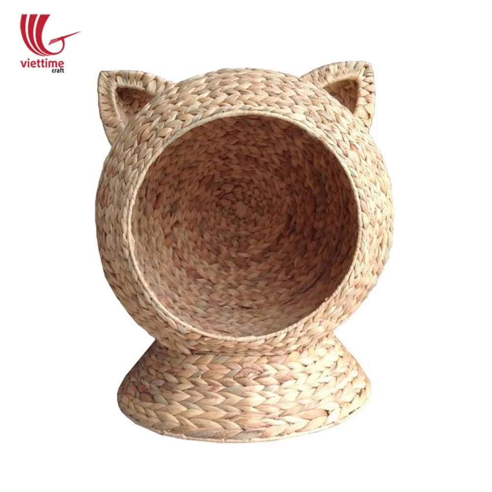 Гиацинт для кошек. Гиацинты в стеклянной вазе. Гиацинт цветок комнатный. Вазочка для гиацинта. Ваза для гиацинтов.