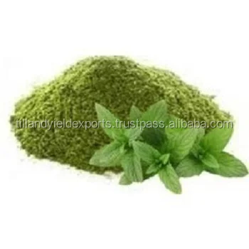 mint /mentha/pudina (mentha arvensis) - buy mint tea,mentha