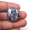 Pourpre