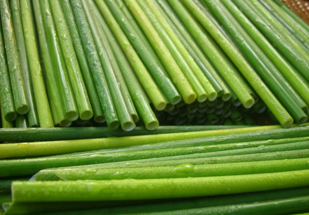 Wholesale Ecofriendly Grass Straws Made In Vietnam With Low Price _ Ms