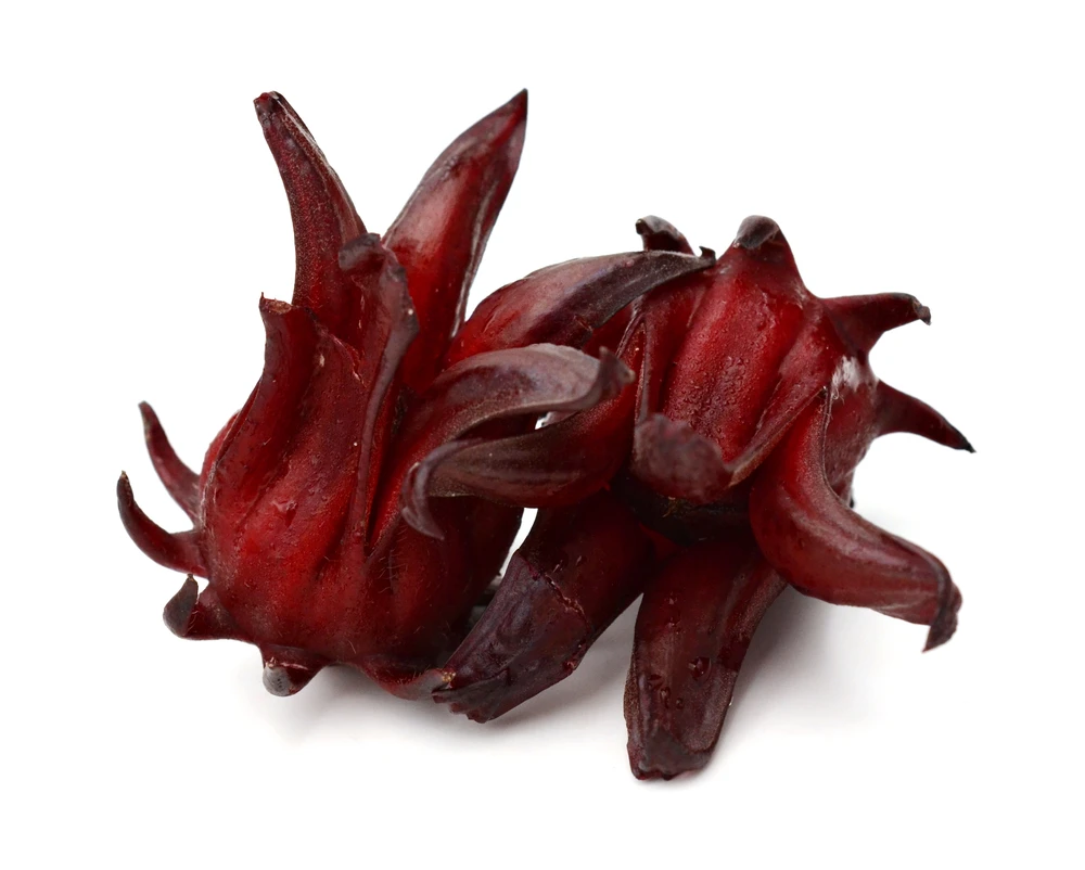 Soft Dried Hibiscus Flowers High Quality From Vietnam Buy Soft Dried Fruit Hibiscus Soft Dried Hibiscus Product On Alibaba Com
