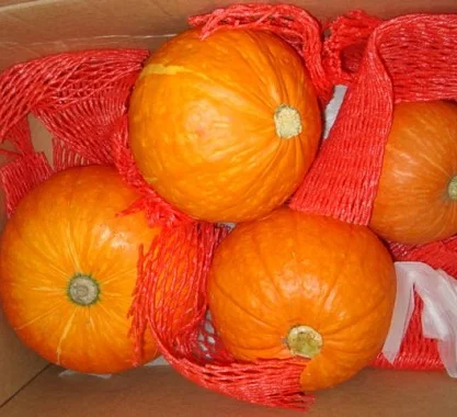 Healthy Quality Fresh Pumpkin/Pumpkin Seeds