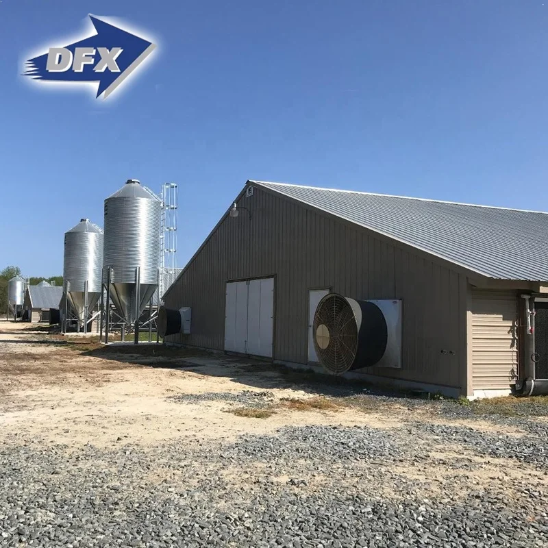Modern Large-scale Automatic Poultry Farm for Broiler Poultry Chicken House Design for 5000 Chicken
