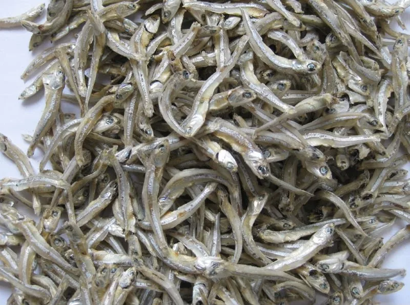 Whole Bulk Dried Anchovy Fish/ Hot Deal 2022 Buy Dried Anchovies