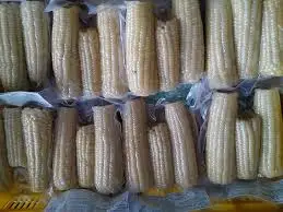 Boiled Frozen Yellow Corn / IQF Frozen Sweet Yellow Corn Cut / Dried Sweet Yellow Corn in Vietnam Ms Holiday