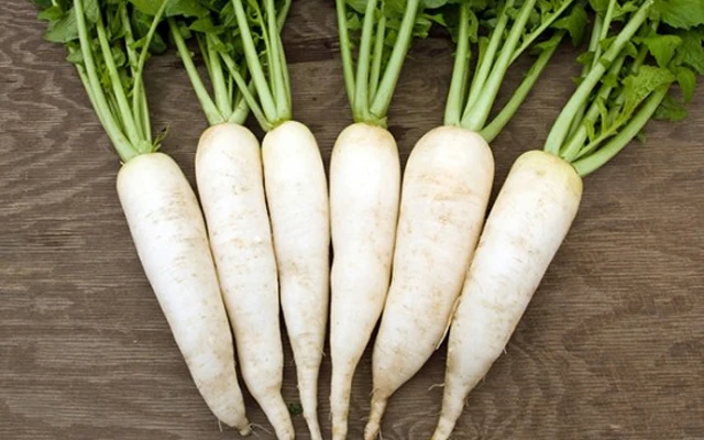 FRESH DAIKON RADISH in BIG SIZE in 2020