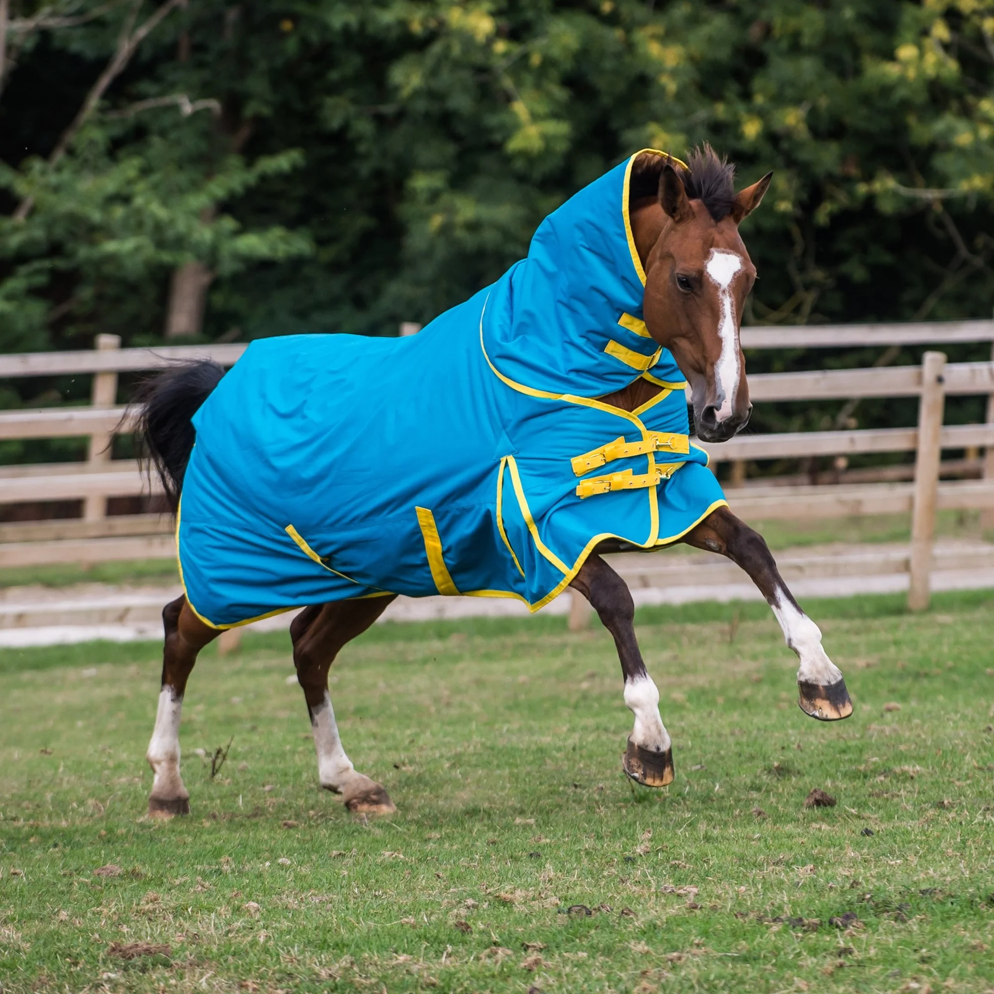 Top Quality Horse Winter Rugs Buy Horse Rain Sheet,Rain Sheet Nylon