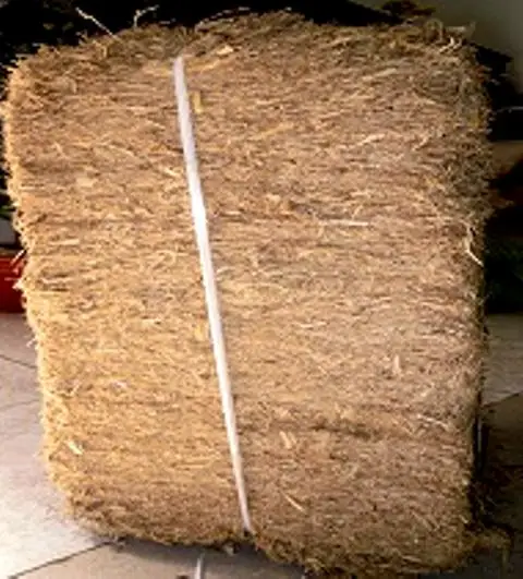 Reusable Natural Material Fuel for Sugar Mills Sugarcane Bagasse Products Pulp Low Price