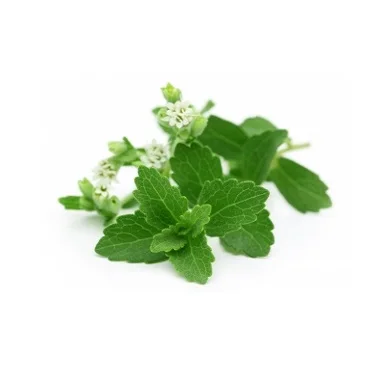芳香100 天然蜜蜂花叶精油制造商 Buy 芳族100 纯天然梅丽莎叶精油 制造商的香蜂草叶油 热卖100 纯天然梅丽莎叶精油