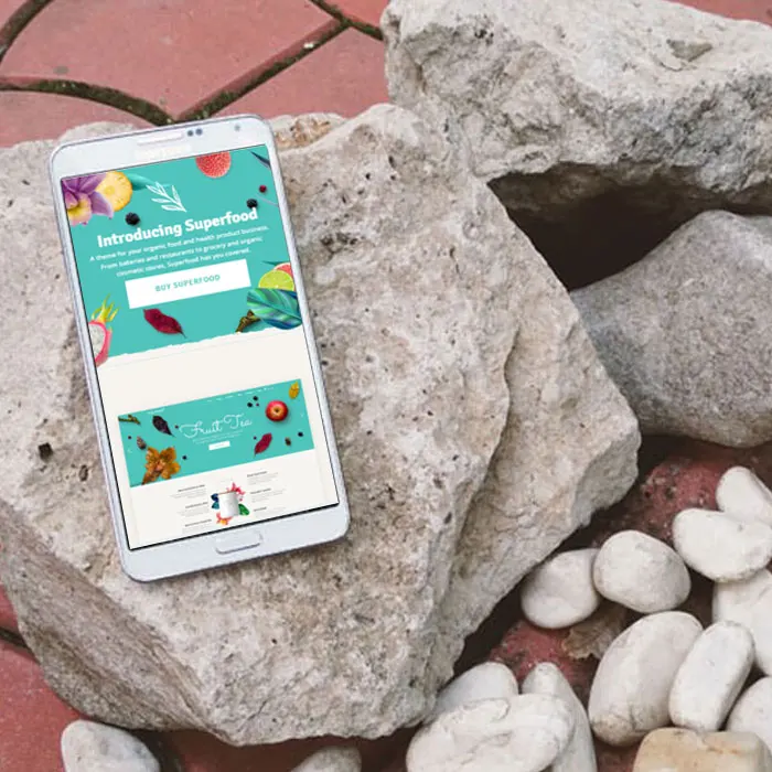 Online Grocery Shopping App & site In India Protolabz Eservices