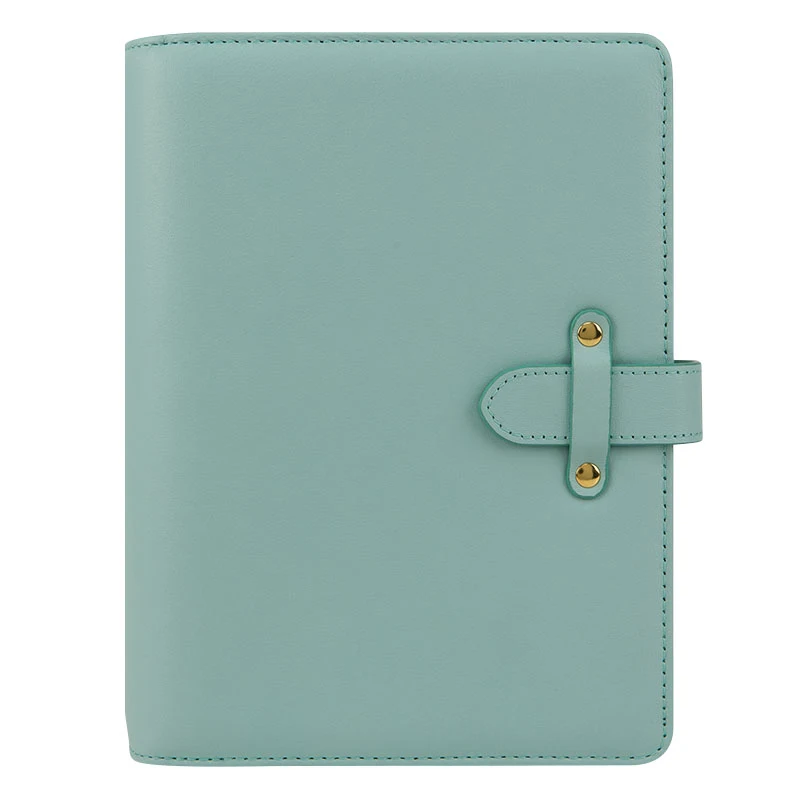 A5-A6-A7--Mint-Color-Leather-7