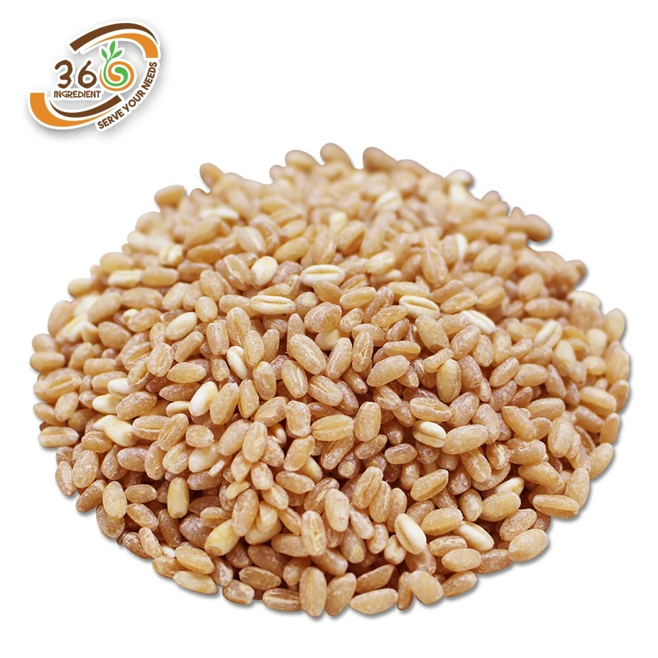 9kg Dried Style Quality Wheat Seeds Biji Gandum Buy Organic Wheat Seed Wheat Seed Cleaner Wheat Grass Seeds Product On Alibaba Com 9kg Dried Style Quality Wheat Seeds Biji Gandum Buy Organic Wheat Seed Wheat Seed Cleaner Wheat Grass Seeds Product On Alibaba Com