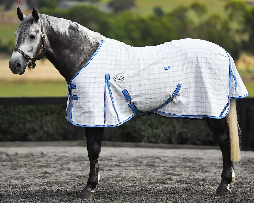 Supplier Of Paddock Ripstop Horse Cotton Rugs Buy High Quality