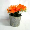 สีเทา