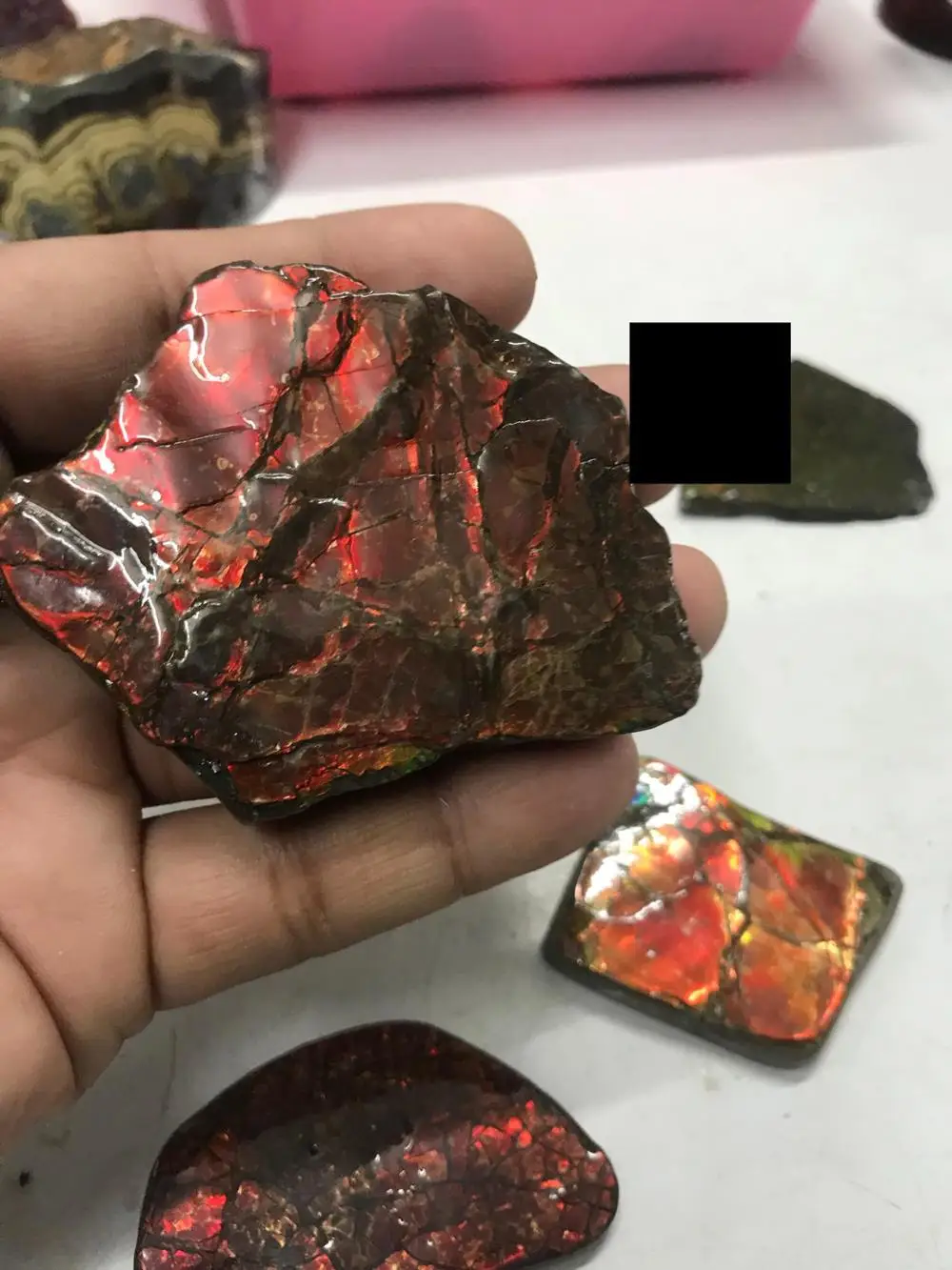 Ammolite Raw Rough Natural Stone Uncut Wholesale High Quality and Factory Price