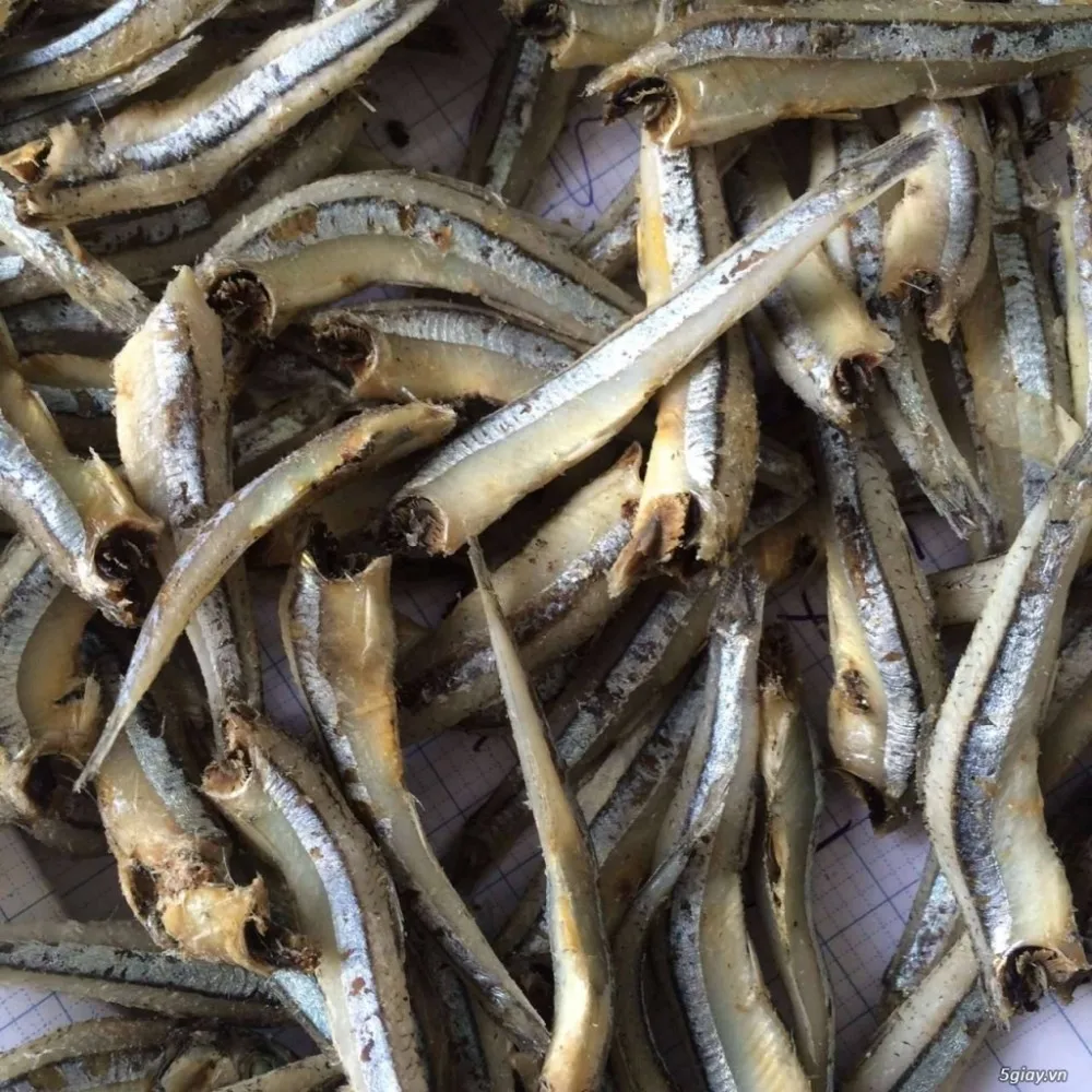 Dried Anchovy/ Nethili Standard For Export Buy Dried Anchovy Fish