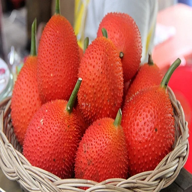 Гак фрукт. Momordica cochinchinensis.