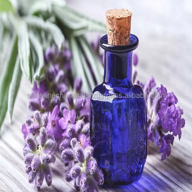High Quality Lavender Essential Oil Bulk / Lavender Oil