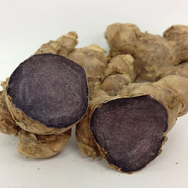 Dried Black Ginger (Kaempferia parviflora) 100% Natural Product of Thailand