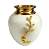 White & Gold