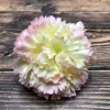 Pink-White