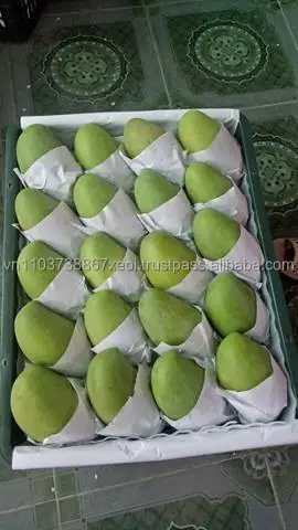 Good Price 100% Fresh Mangoes in the Season