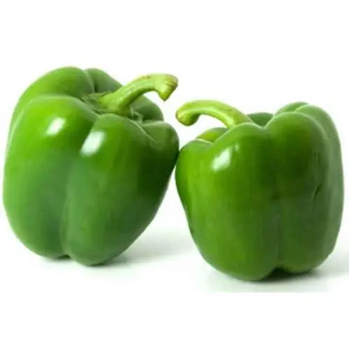 fresh bell pepper india/good quality capsicum/farm fresh red
