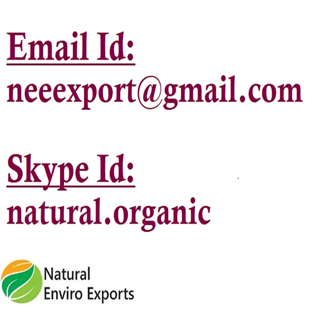 Wholesale Best Quality Castor Oil / Seed for Multipurpose