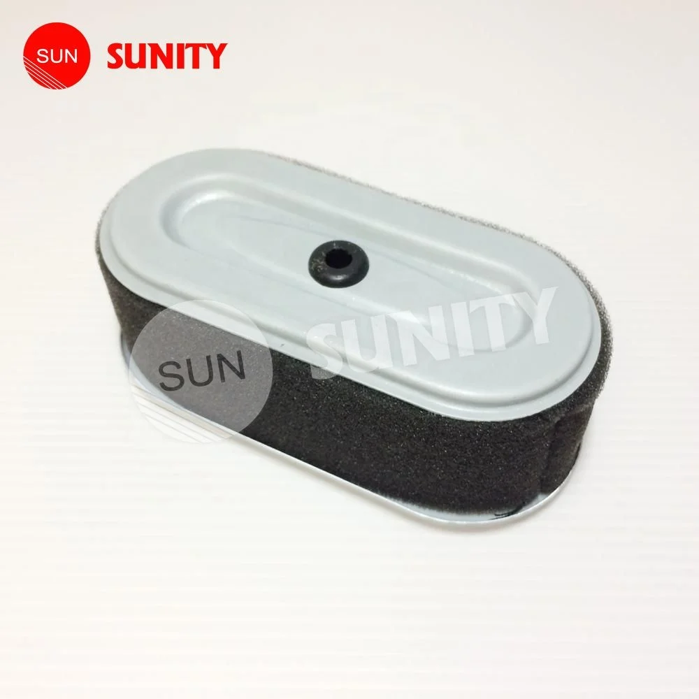 Efficient Filtration Engine Spare Parts Garden Machine Engine OEM Quality 220-32812-04 air Filter for ROBIN EX17