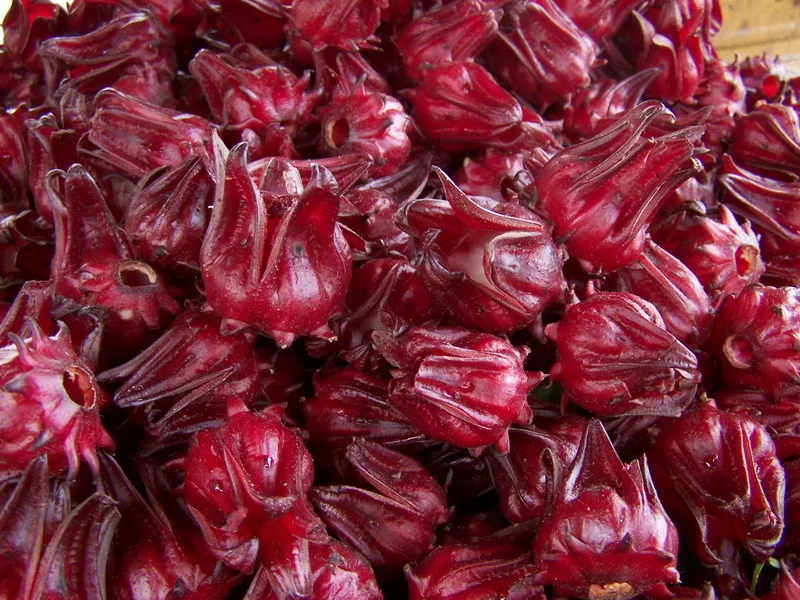 Bioseeds отзывы. Roselle США. Bioseeds. Hibiscus sabdariffa Flower extract. Jamaican Hibiscus dried Fruit.