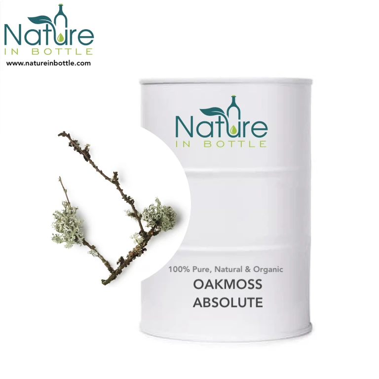 Oakmoss Essential Oil (Evernia prunastri)