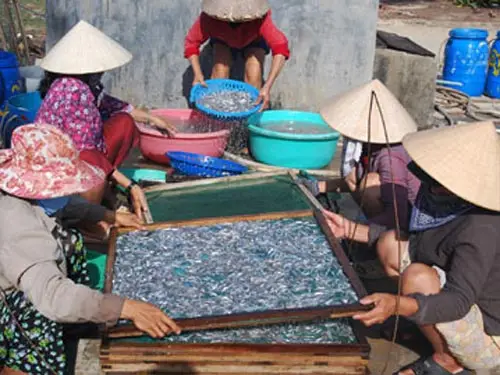 Сухой анчоус рыбы во Вьетнаме