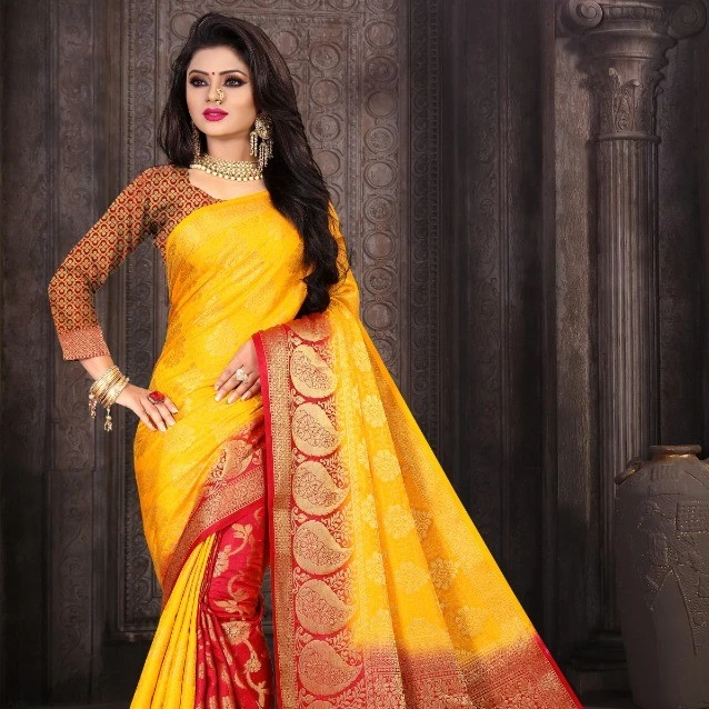 Indian Party Wear Saree / Traditional 