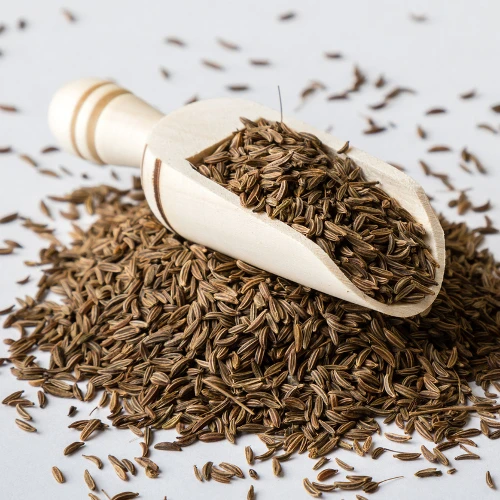 Cumin Indian Exporters Buy Indian Cumin Seed Suppliers New Crop Cumin Seed Wholesale Price Bulk Cumin Seed Supplier India Product On Alibaba Com