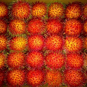 UTB8cpZYiXPJXKJkSahVq6xyzFXar.