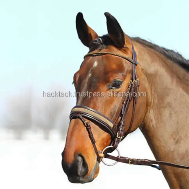 馬の持久力ブライドル 馬のブライドルイベント 馬のブライドルの彫刻 Buy 馬手綱継手 手綱馬の眼 馬英語手綱フィット 手綱馬etymology 馬 手綱ドイツ 馬手綱犬 馬手綱生地 馬手綱フラッシュnoseband 馬手綱フラッシュ イベントプロモーション Product On Alibaba Com