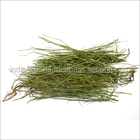 Чистый натуральный экстракт андрографиса паникулы андрографолид