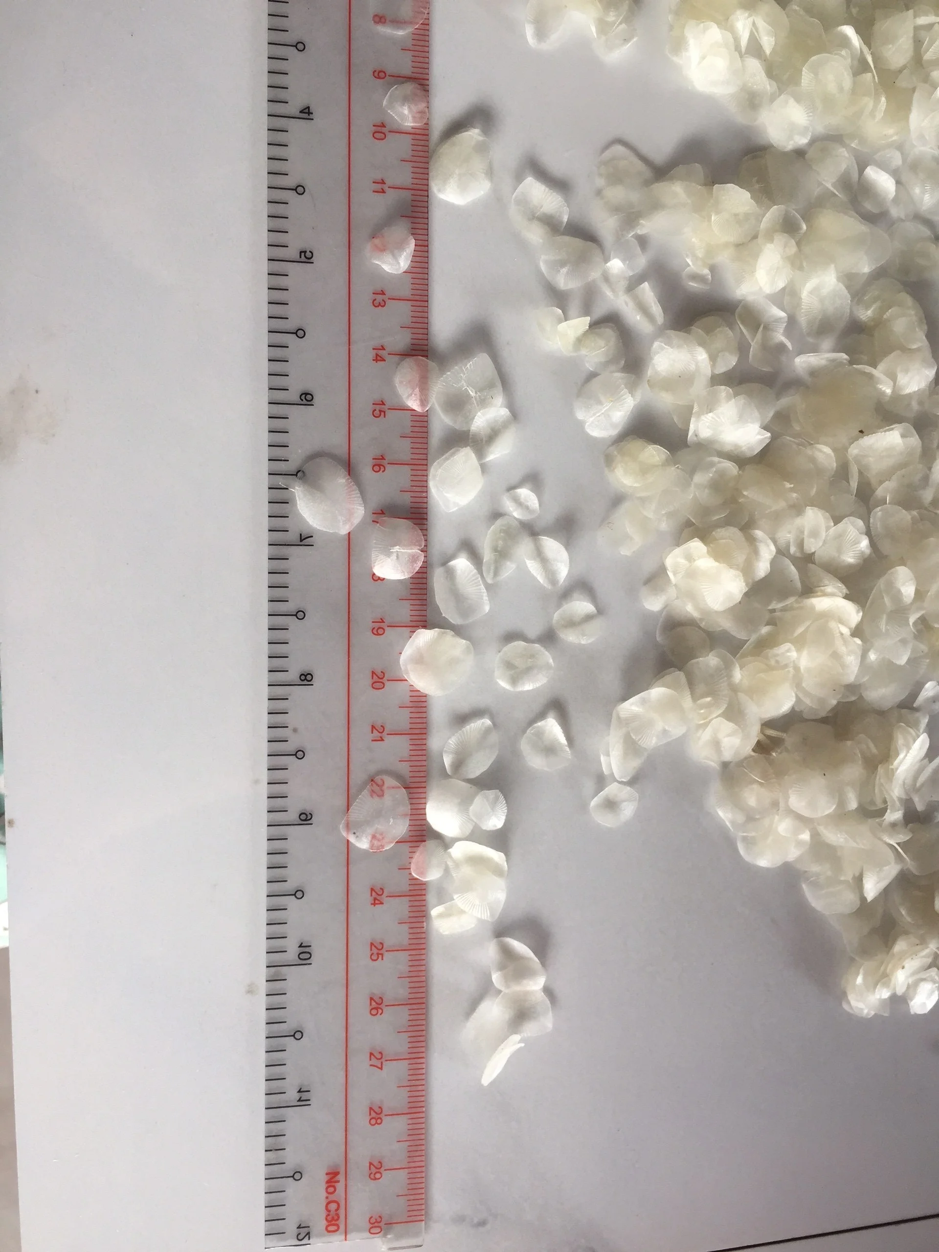 Wholesale Price Dried Fish Scale For Fish Scale Material Collagen