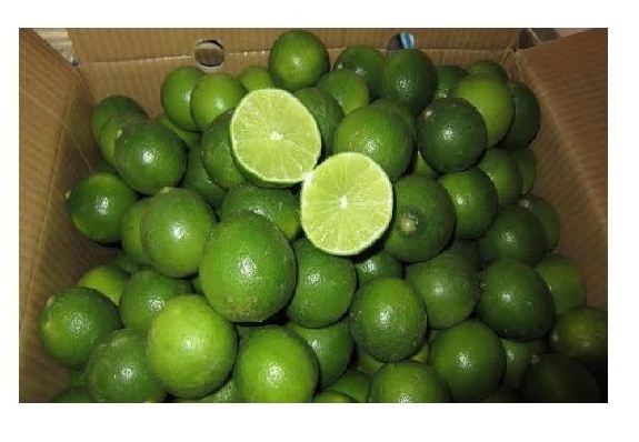 Низкая цена, свежий лимон без семян/Лайм лучшего качества/WHATSAPP + 84 707330069