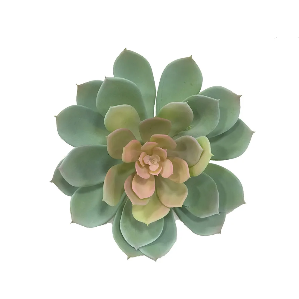 Large Home Foam Artificial Peony Lotus Flowers Water Lily Floating Pool Plants Buy Large Single Succulents Artificial Plants Peony Lotus Flower Decorative Plant Pots Indoor Product On Alibaba Com