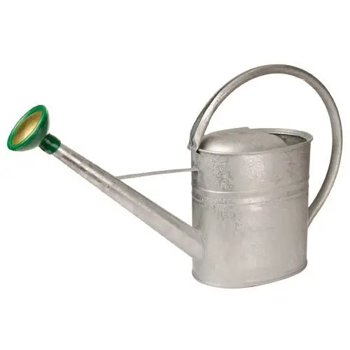 New Shape Design Vintage Iron Garden Watering Can Wholesale Exporter