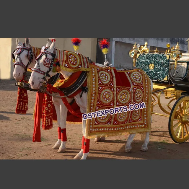 زينة حصان الزفاف الجميلة ملابس خيل لحفلات الزفاف أزياء خيول مطرزة للزفاف الهندي Buy الحصان ازياء يتوهم الخيول ارتداء زي سهلة الحصان ارتداء زي Product On Alibaba Com