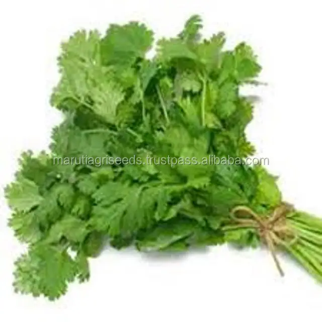 Only Prices Of Coriander Seeds For Malaysia Buy Only Prices Of Coriander Seeds For Malaysia Coriander Seed For Consumption Coriander Seed For Sowing Product On Alibaba Com