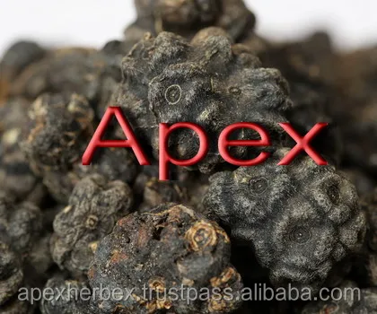 Morinda Citrifolia Noni Fruits Dried Organic Apex - Buy Dried Noni ...