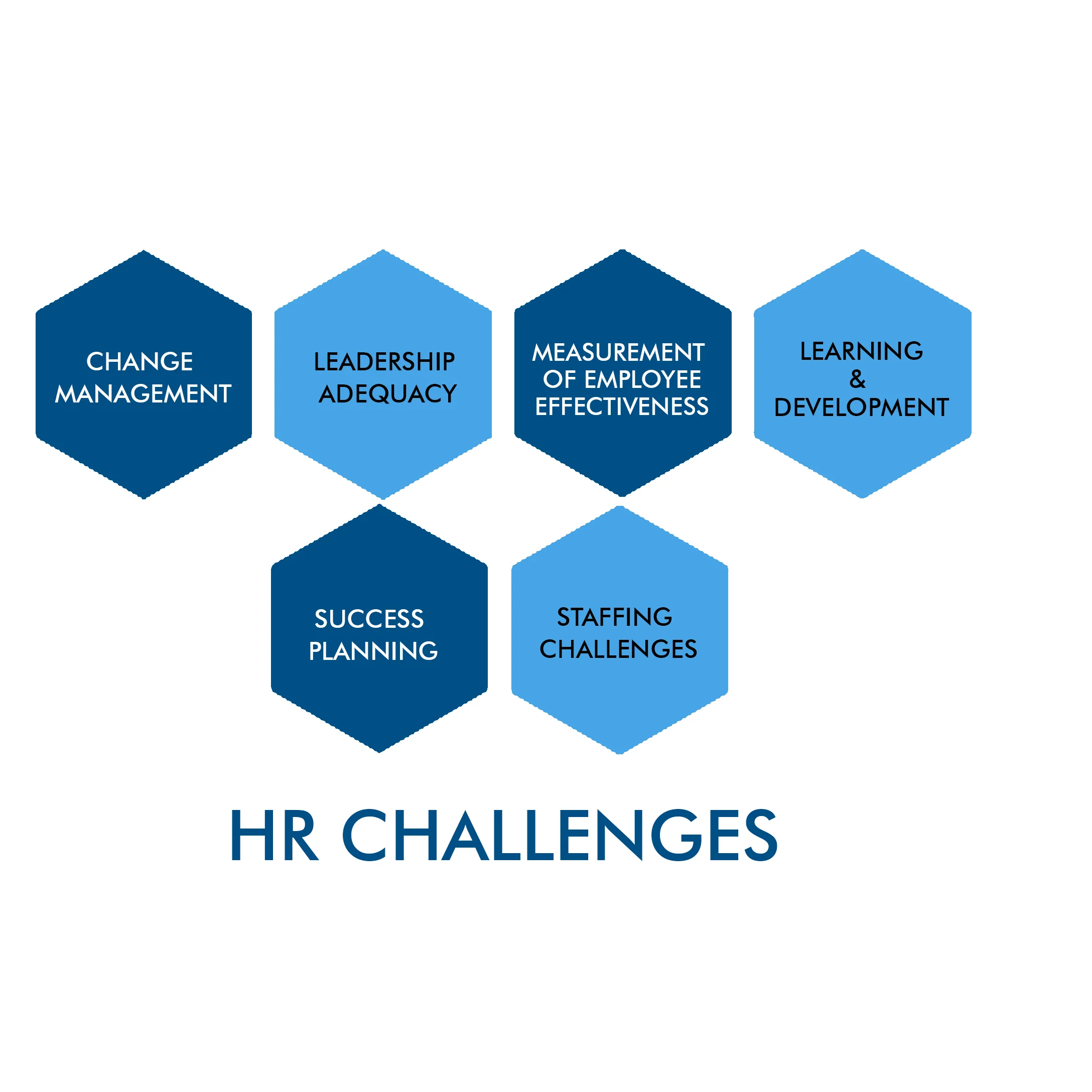 Разработка программного обеспечения для управления сотрудниками
