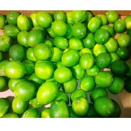 Низкая цена, свежий лимон без семян/Лайм лучшего качества/WHATSAPP + 84 707330069