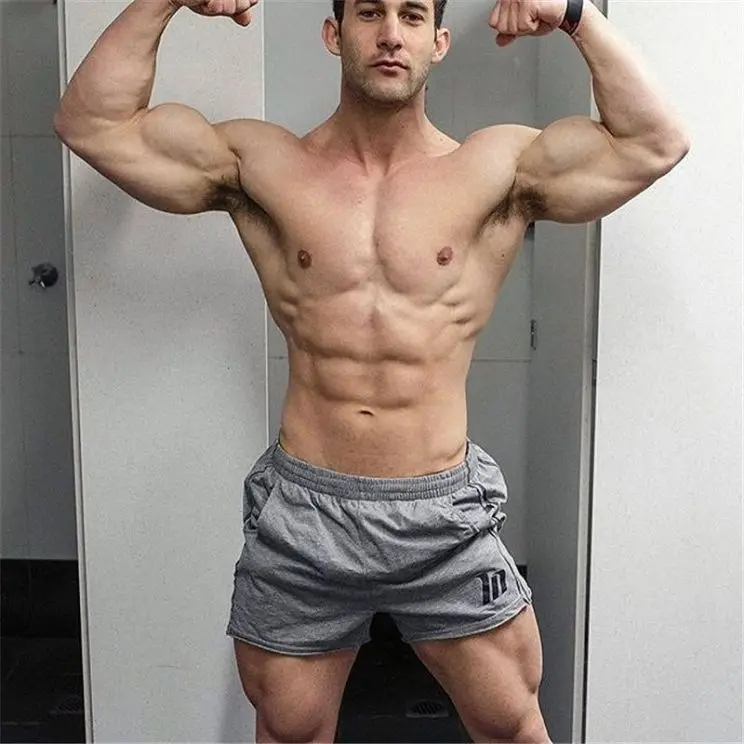 bodybuilding workout shorts